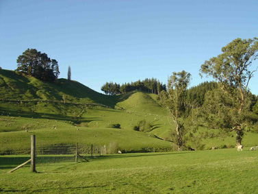 View from the ridge